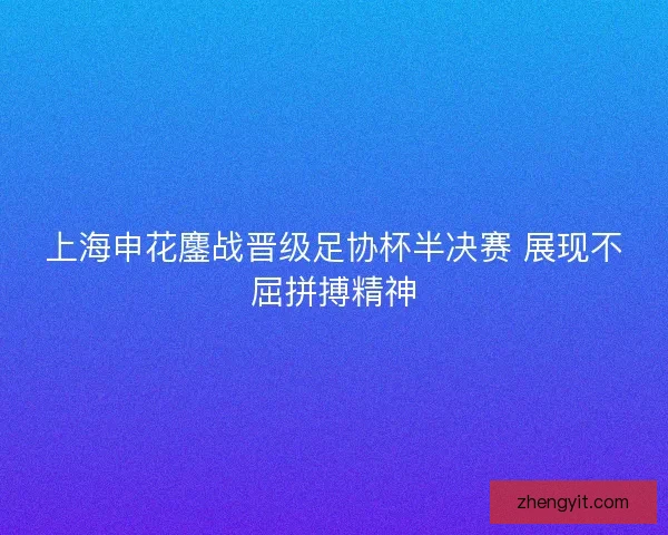 上海申花鏖战晋级足协杯半决赛 展现不屈拼搏精神